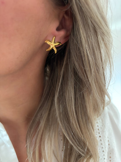 Boucles d'oreilles ASTERIA