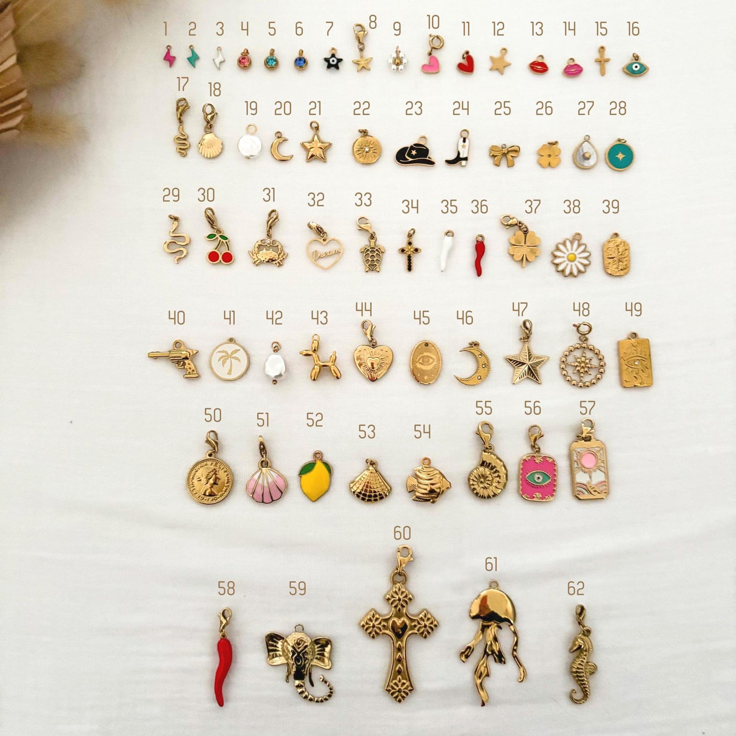 Charms pour chaussures